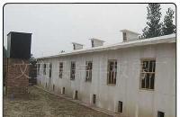 河北廊坊瑞豐保溫雞舍 防火保溫、耐酸堿，打造現代化養(yǎng)殖新標桿